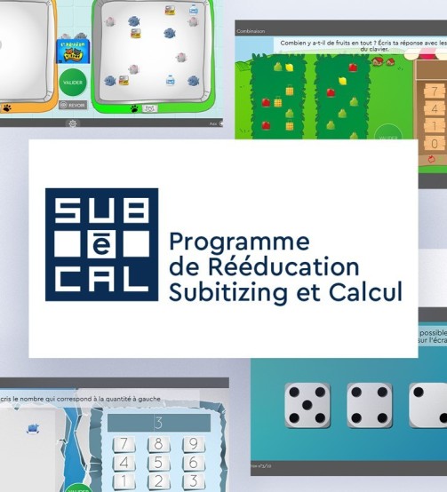 SUBéCAL, logiciel rééducation Subitizing et le Calcul
