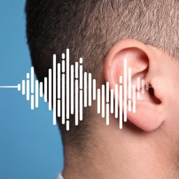 Formation surdité orthophonie : L'Adulte devenu sourd