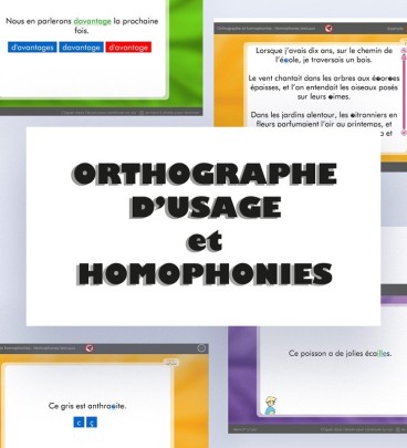 Logiciel Orthographe Et Homophonies - langage écrit