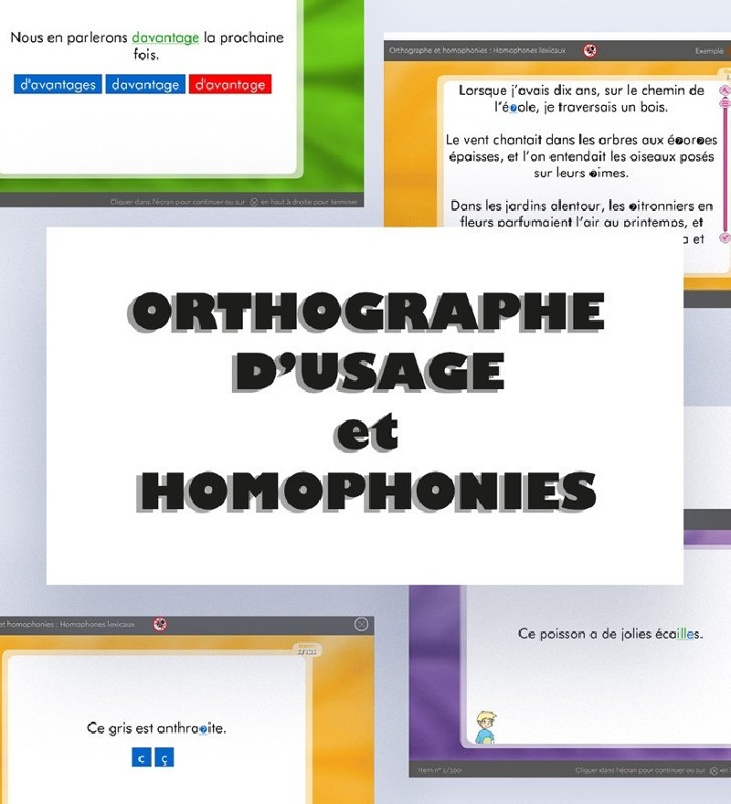 Logiciel Orthographe Et Homophonies - langage écrit
