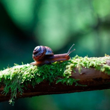 Formation orthophonie - Oralité : la prise en charge n'avance pas, que faire ?